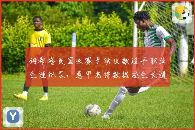 姆希塔良国米赛季助攻数追平职业生涯纪录，意甲老将数据逆生长遭质疑